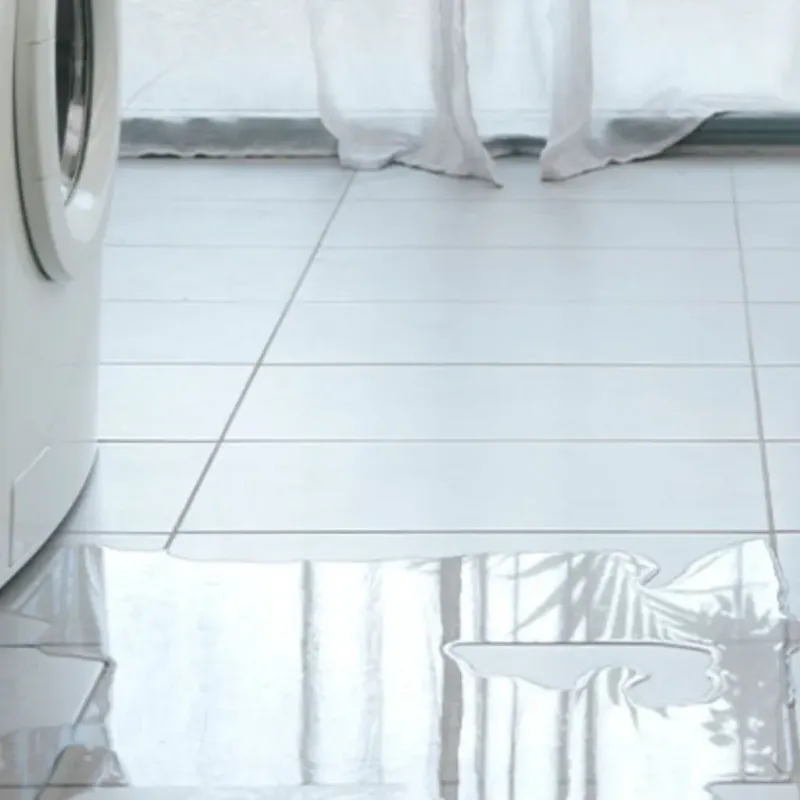 Appliance Leak Cleanup in Redford, MI