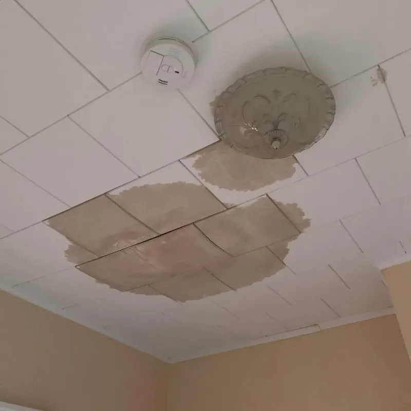 Ceiling Water Damage Repair in Redford, MI