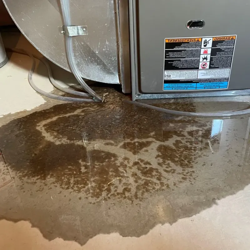 Pipe Burst and Leak Restoration in Redford, MI